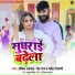 Ankit Agrawal, Neha Raj, Dharmedra Goshawami