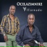 Ocelazimnike