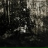 Blut Aus Nord