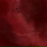 Bashmak Bloodbath