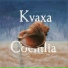 Kvaxa