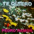 Pedro Ramon