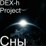 DEX-h Project