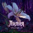 WhiteNight 4.5