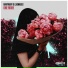 Rahyaboy, LXSNASES