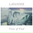 LAVANDER