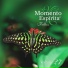 MOMENTO ESPÍRITA