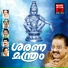 S. P. Balasubramanyam