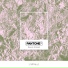 Pantone