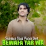 Suleman Shah Watan Dost