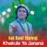 Gul Rauf Shawqi