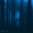 Mat Brook, dreamable