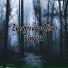 Lampovaya Kisa