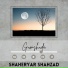 Shaheryar Shahzad