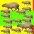 КАПИБАРА