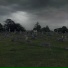 NEWYTER