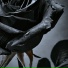 Waldeins, mxy
