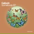 Gallazin