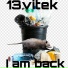 13vitek