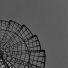 P.A., Principle, Anttti feat. Laineen Kasperi