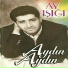 Aydın Aydın