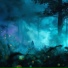 NOCTAARA
