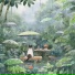 颜云飞