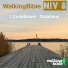 WalkingBible, Will Weeks