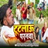 Chandan Yadav Bhaismara, Srishti Bharti