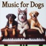 Piano for Dogs