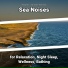 Relaxing Music, Ocean Sounds, Nature Sounds