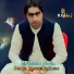 Singer Adil