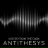 Anthithesys