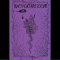 Hexenbezem