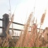 BLACKSKY