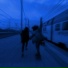 coldly.