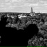 ПАРАДОНТОЗ