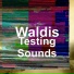Waldis