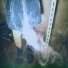 Vague003