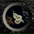 Black Soil