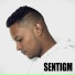 Senti Gm