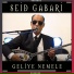 Seid Gabari