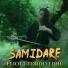 Erhu Cover by Eliott Tordo