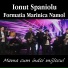 Formația Marinică Nămol, Ionut Spaniolu
