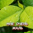 Сергей Грищук