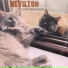 Nevilton