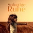 Innere Ruhe Akademie