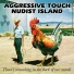 Nudist Island