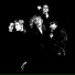 The Go-Betweens