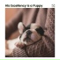 Relaxmydog